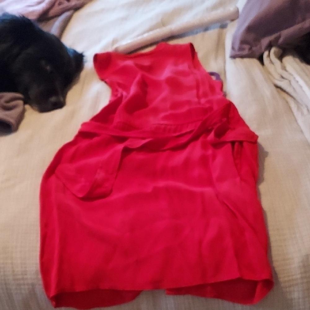 Chic Red Ruched Mini Dress - Picture 4 of 4